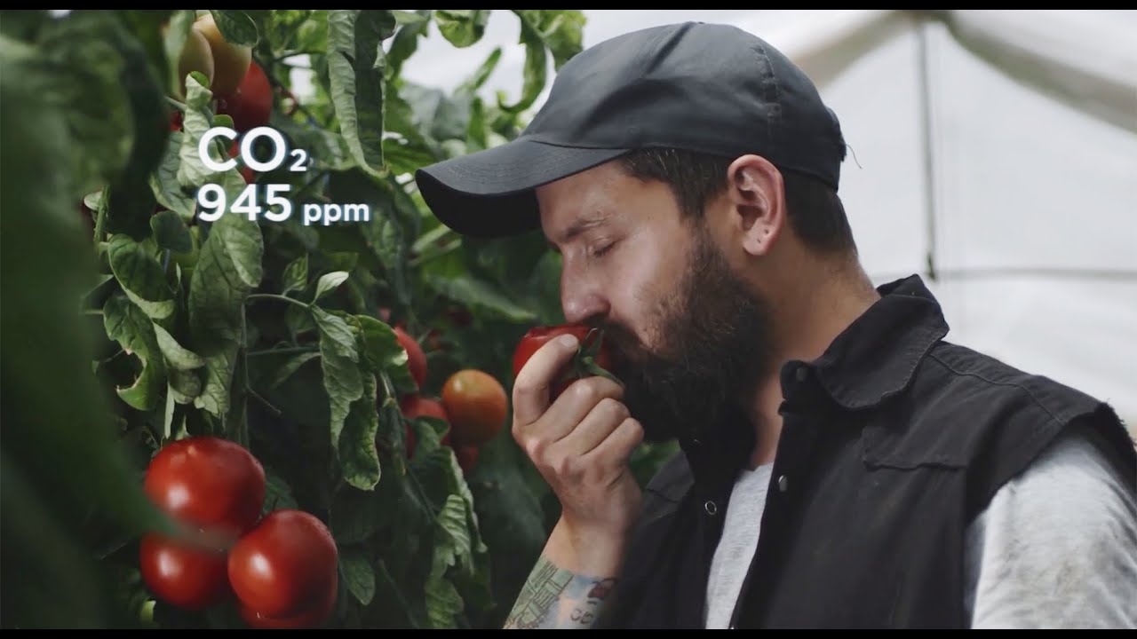 Vaisala: a bite of science and the future of food.