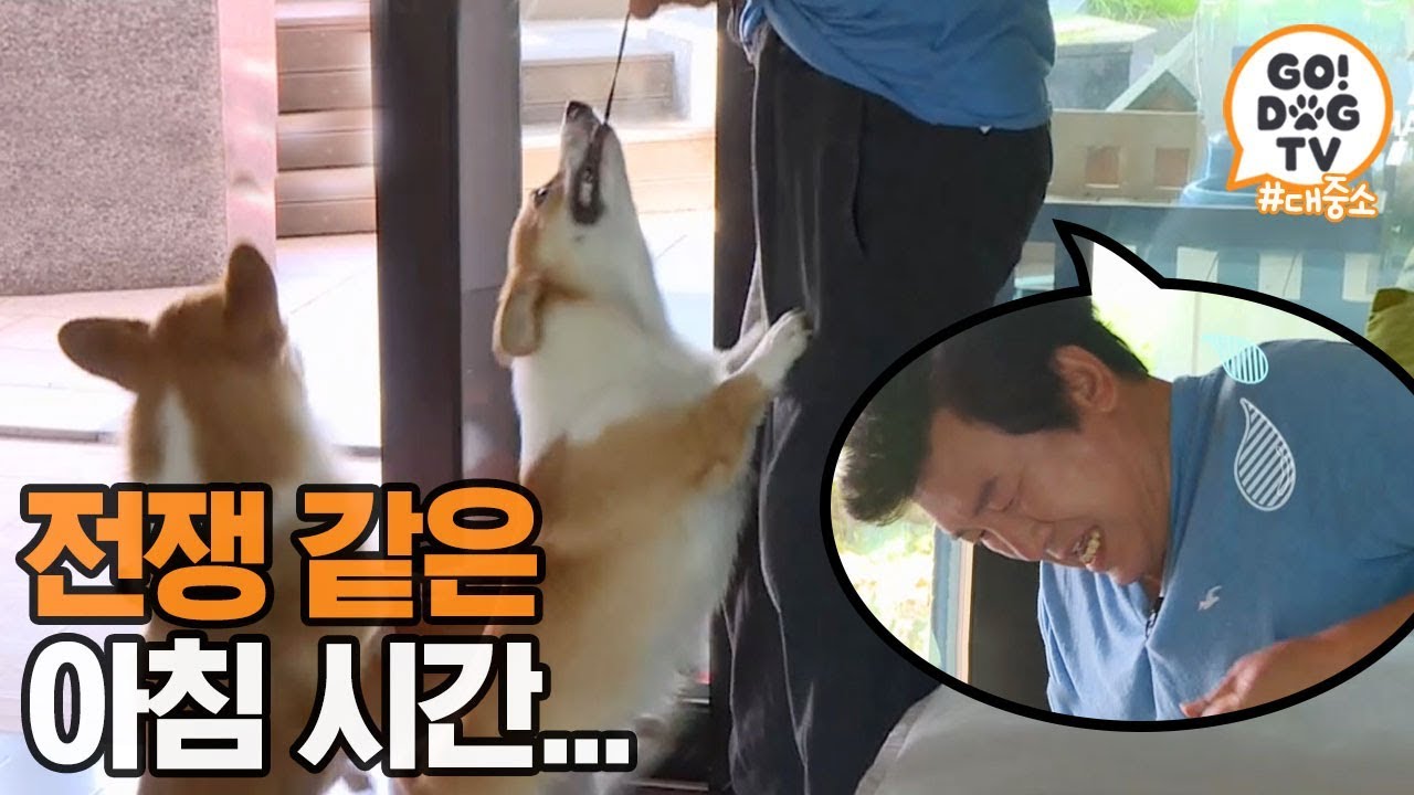 [고독TV] 🐶: 아빠 바지 벗기자!!! - 극한 직업: 대중소 아빠 | 개밥주는 남자