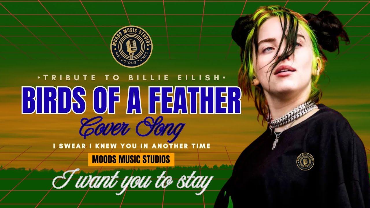 Birds of a Feather 💕 | A Romantic Tribute to Billie Eilish | #Trending #LoveSong 2026 | MOODS Music