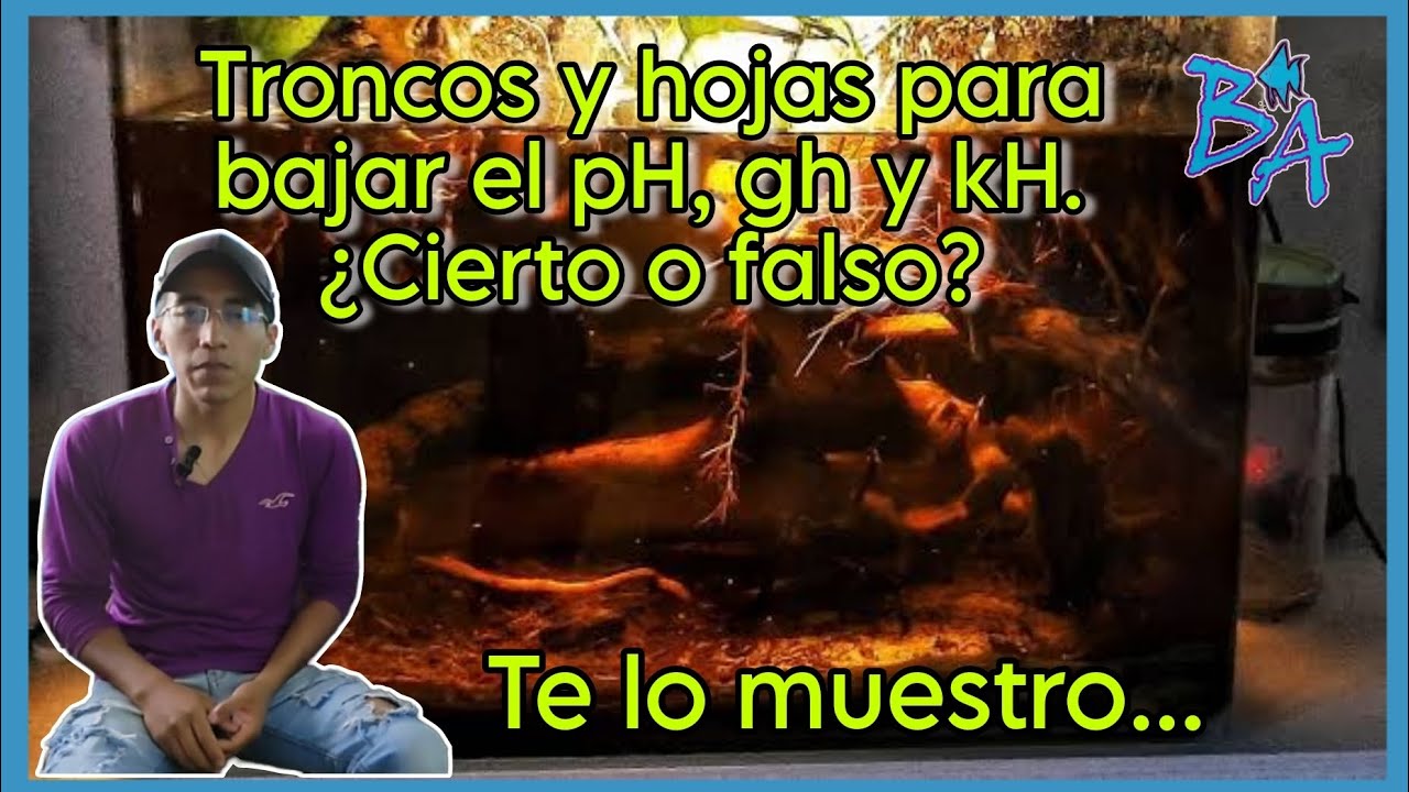 Troncos y hojas para bajar el pH, gH y kH del acuario, Bioacuatixz.