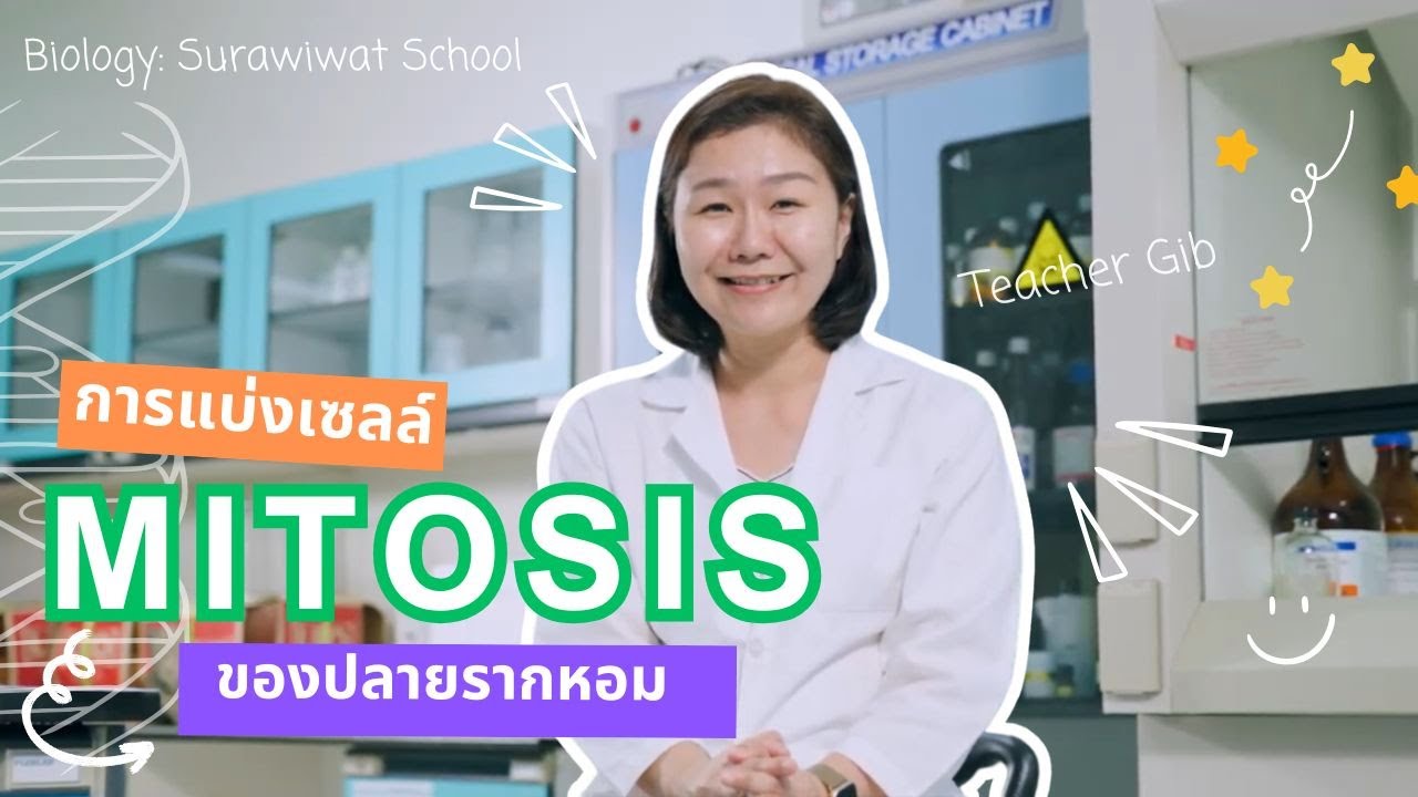 ปฏิบัติการแบ่งเซลล์แบบไมโทซิสของปลายรากหอม