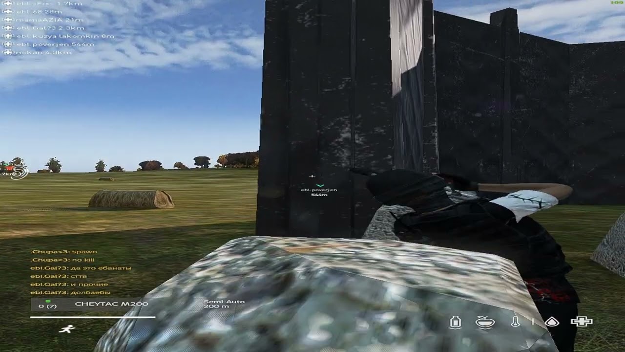 YUNG RARE #paradise #fragmovie #dayz #zustark @emiemiemiem1