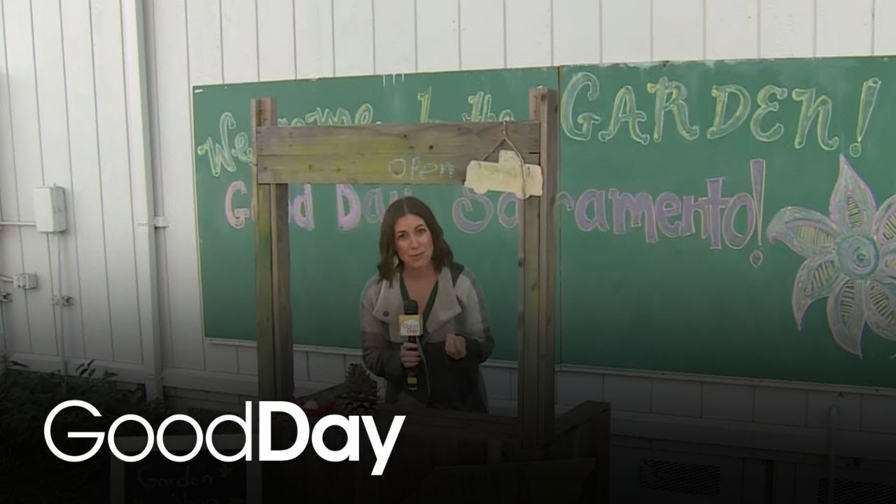 Nor Cal Home & Landscape Expo supports project creating outdoor learning spaces for kids