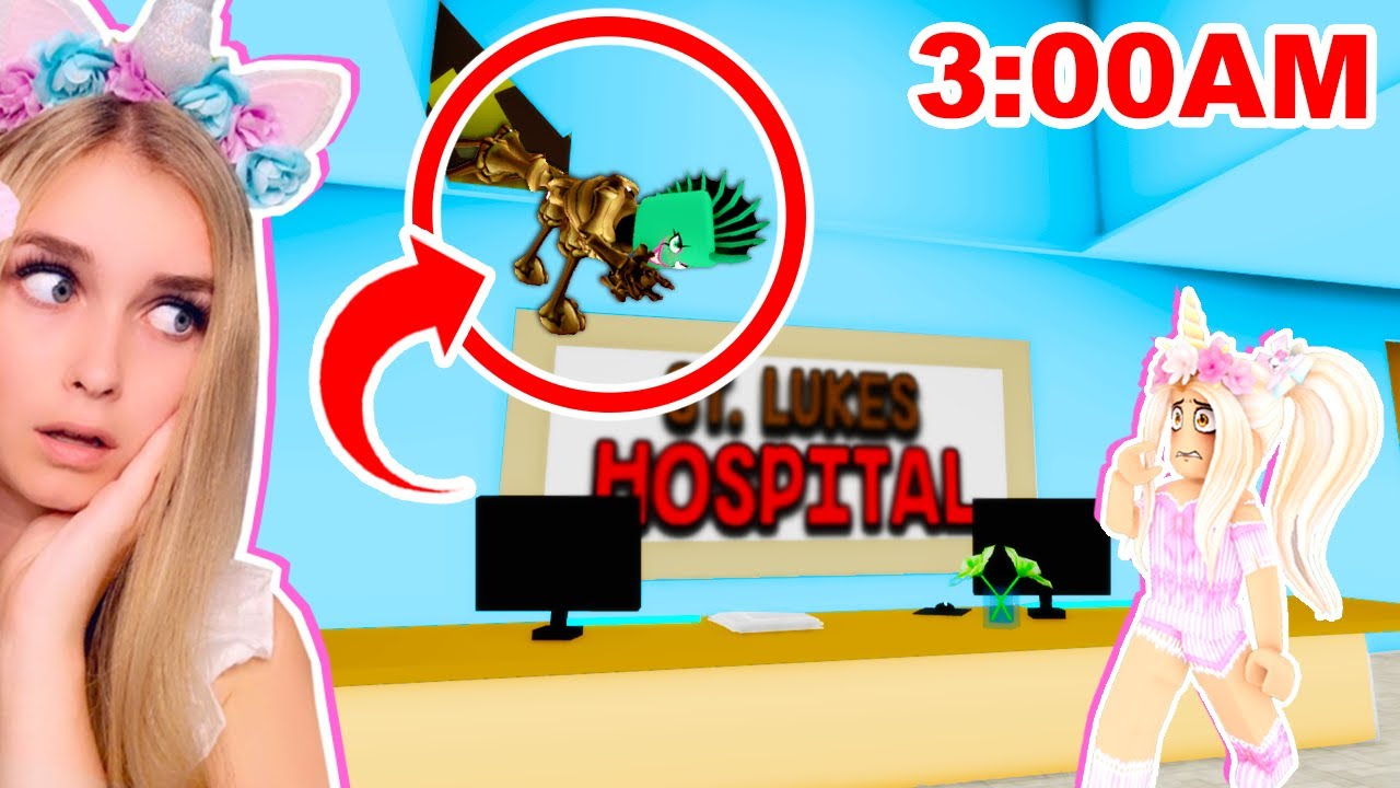 DO NOT GO TO THE BROOKHAVEN HOSPITAL AT 3AM! (ROBLOX)