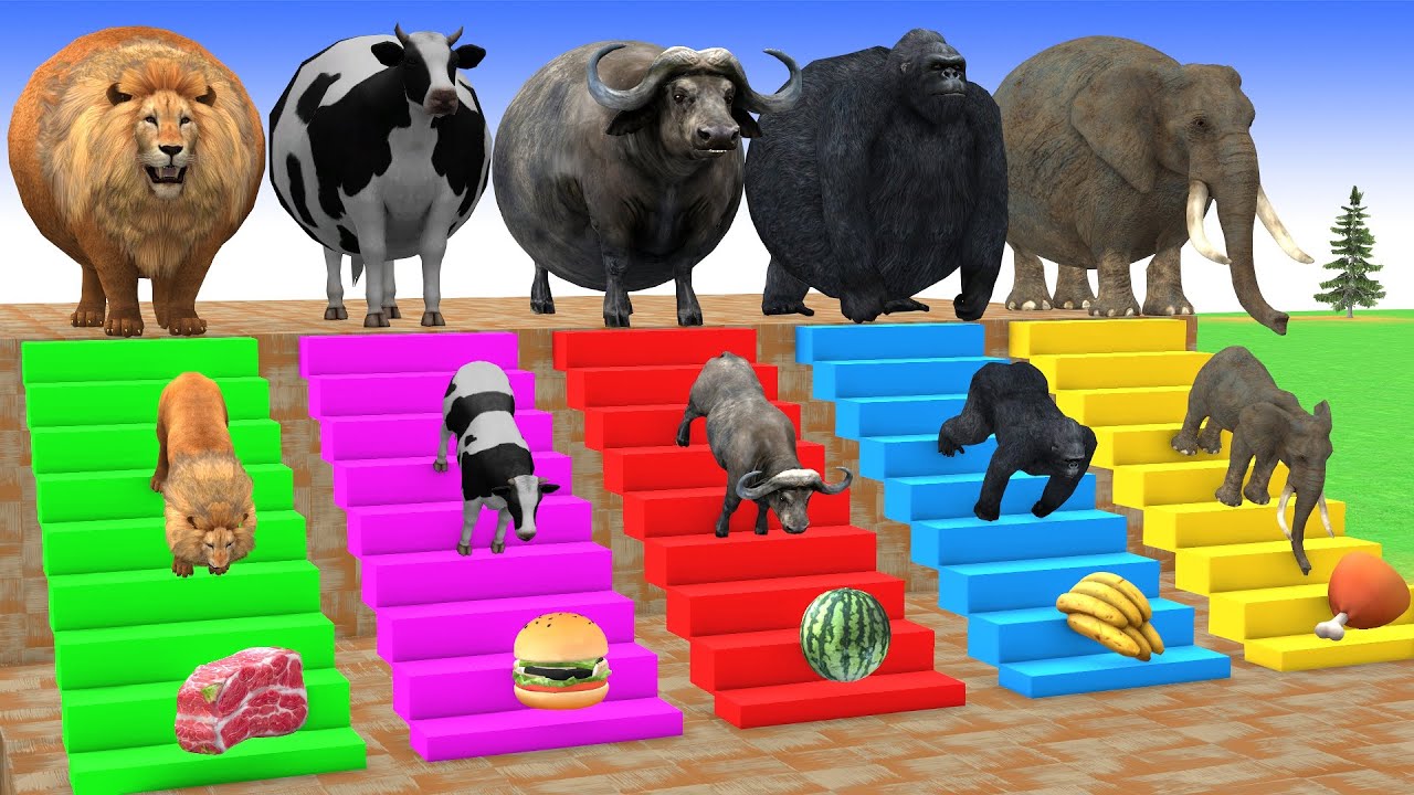 Long Slide Game with Cow Elephant Gorilla Hippopotamus Tiger 3d Animal Game Funny 3d Animals