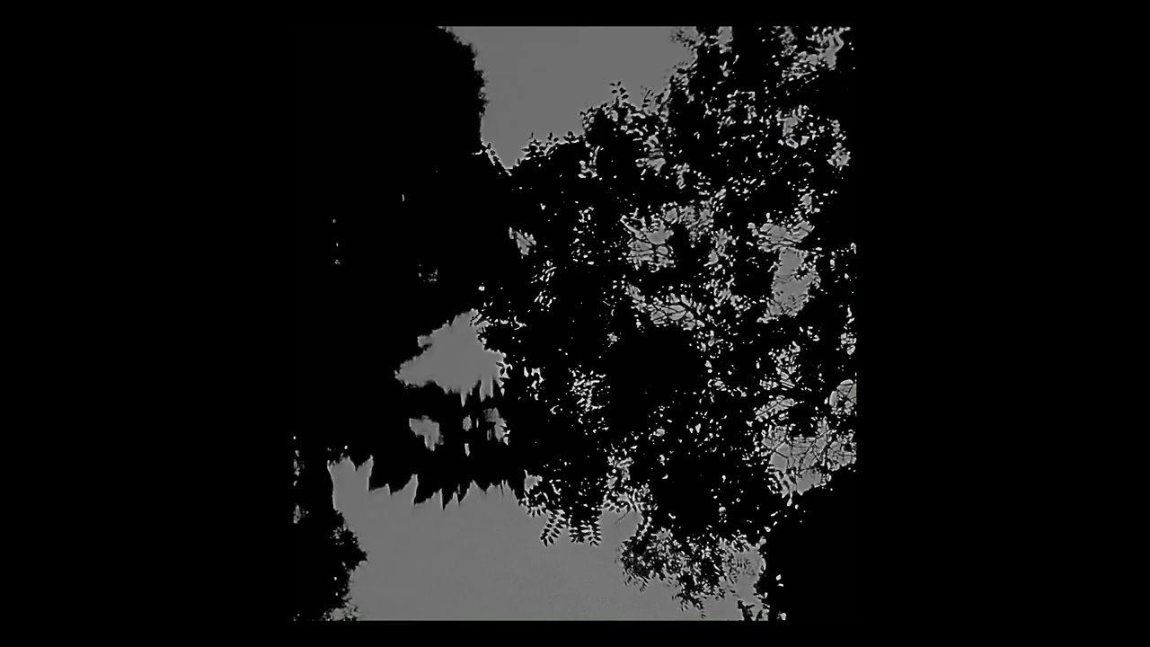 Gökçe & Tolga / Somniloquy