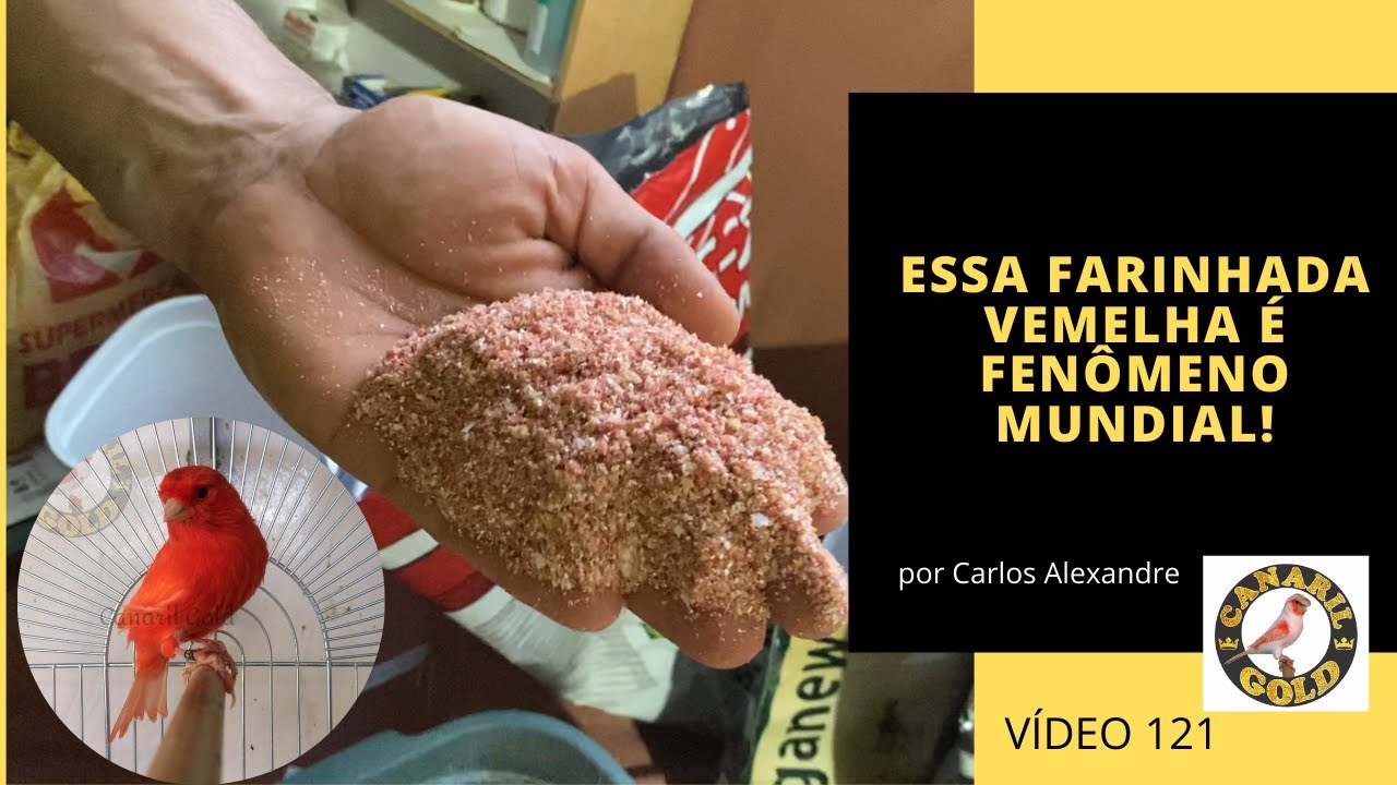 VEJAM COMO EU FAÇO A MINHA FARINHADA VERMELHA!