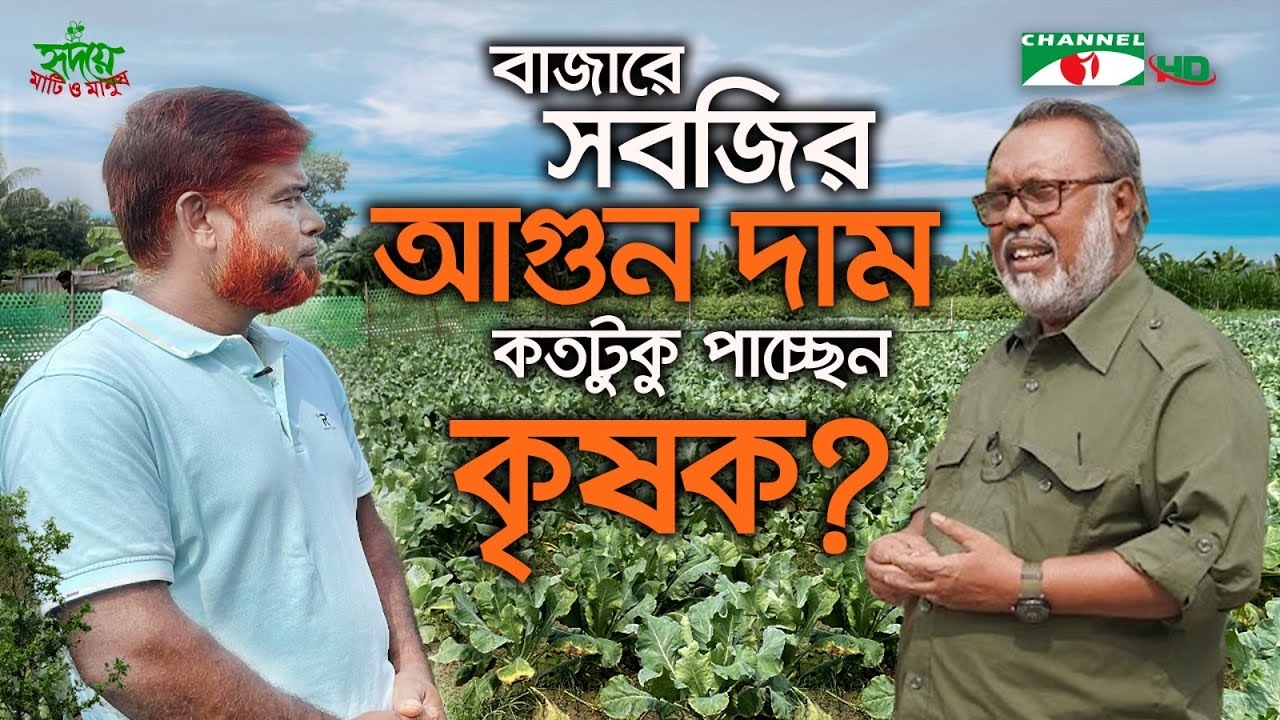 কৃষকের লাভের হিসাব: বাজারে সবজির আগুন দাম, কতটুকু পাচ্ছেন কৃষক? | Shykh Seraj | Channel i |
