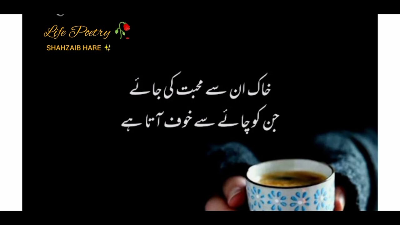 Chai Poetry in Urdu 2 Lines | Tea Poetry | Tea poetry ☕#اردوشاعری😊