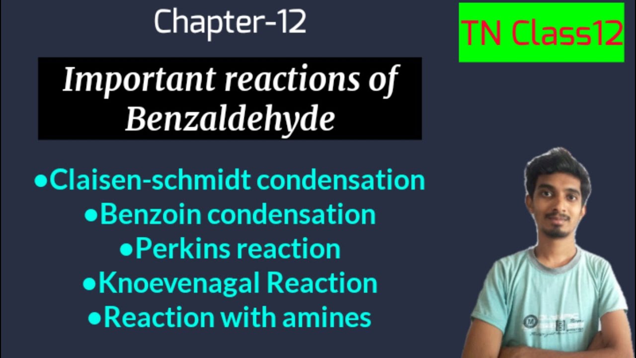 Important reactions of Benzaldehyde|Chapter-12|Chemistry|TN Class12