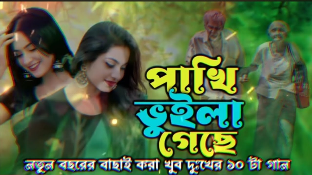 পাখি ভুইলা গেছে । নতুন বছরের ।  Music#music​​ #banglasong​​ #tendingvideo​​