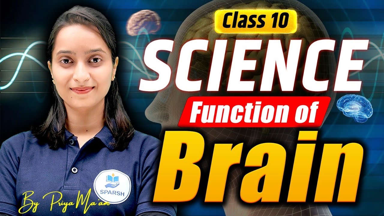 Human Brain Parts & Functions | Class 10 Biology | Brain Explained Easily🧠