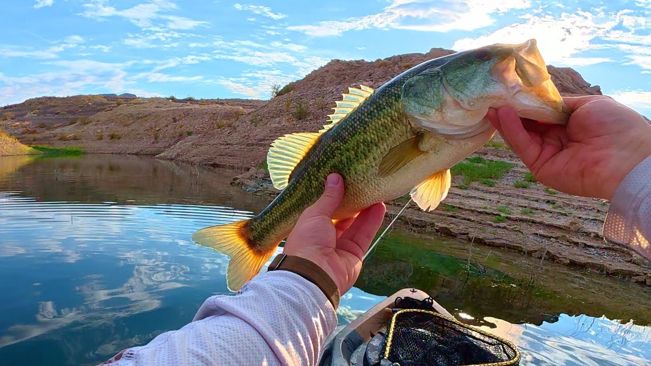 Family Fishing from Kayaks ; Bass, Striper, Catfish & First Time Fun!