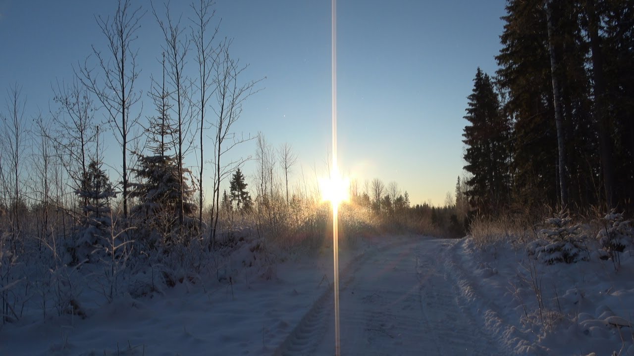 Mini Horses in Motion , -15´C, Finland