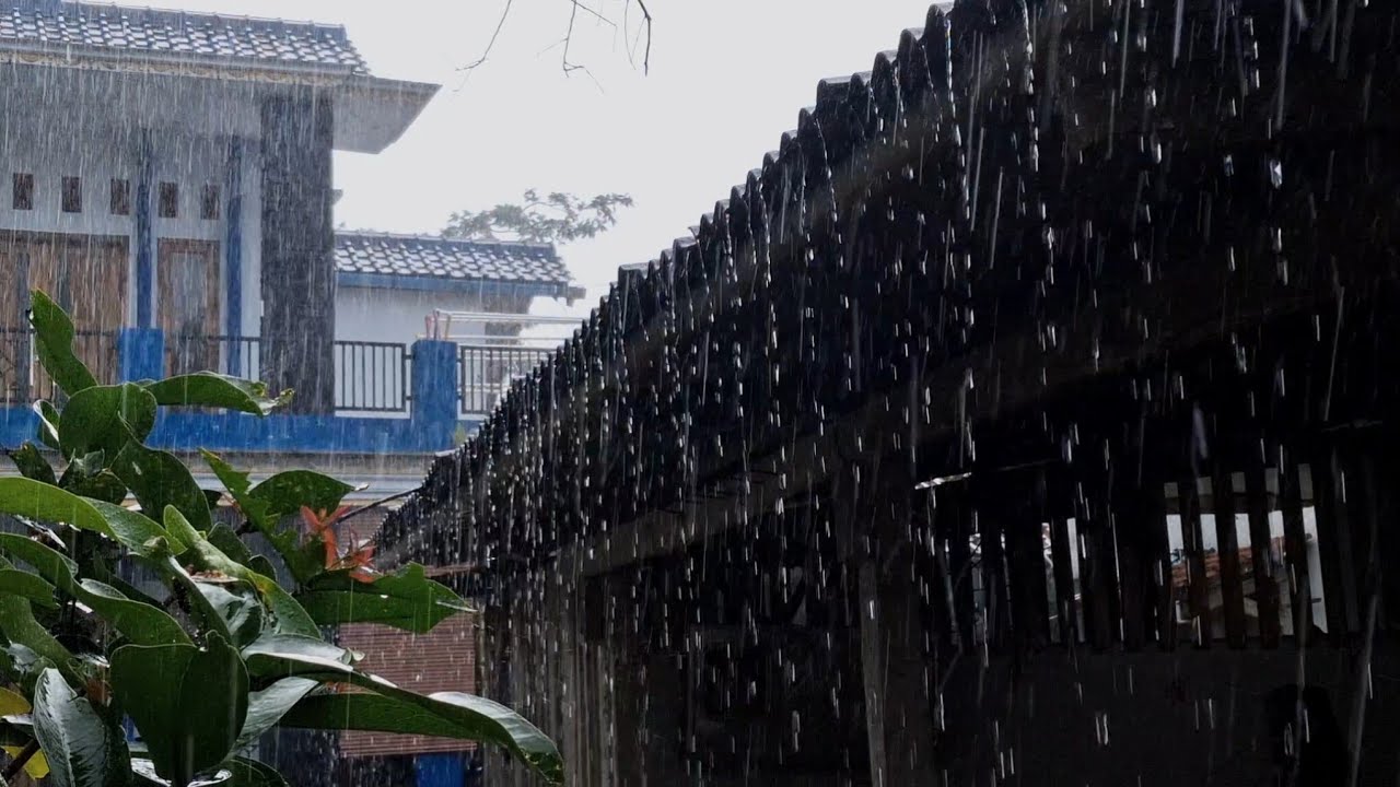 Super Heavy Rain Sounds for Sleeping Tropical Rain Falling from Roof | Deep Sleep Ambience
