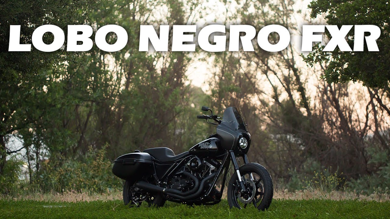 Mike D's - Lobo Negro FXR