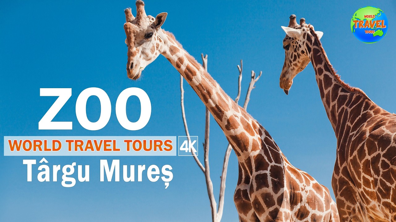 Zoo Târgu Mureș 🦓 – Cea mai frumoasă grădină zoologică din România! 2025
