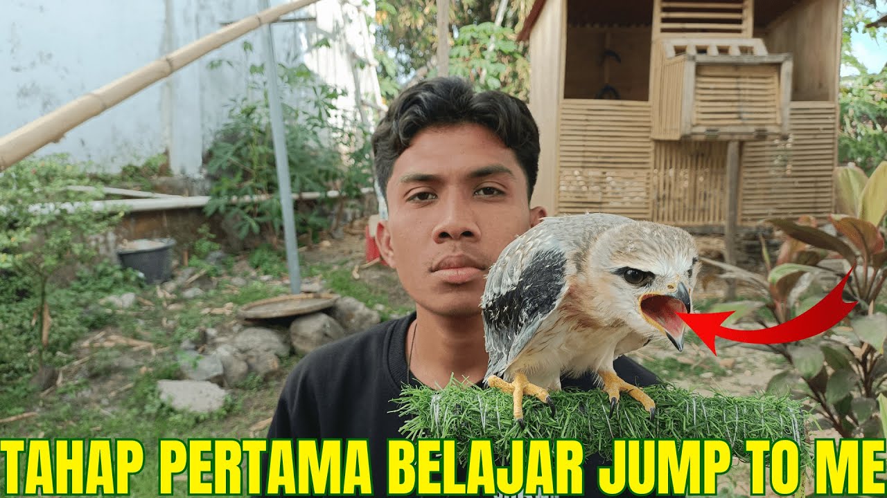 MELATIH ALAP ALAP BWK LOMPAT TAHAP PERTAMA
