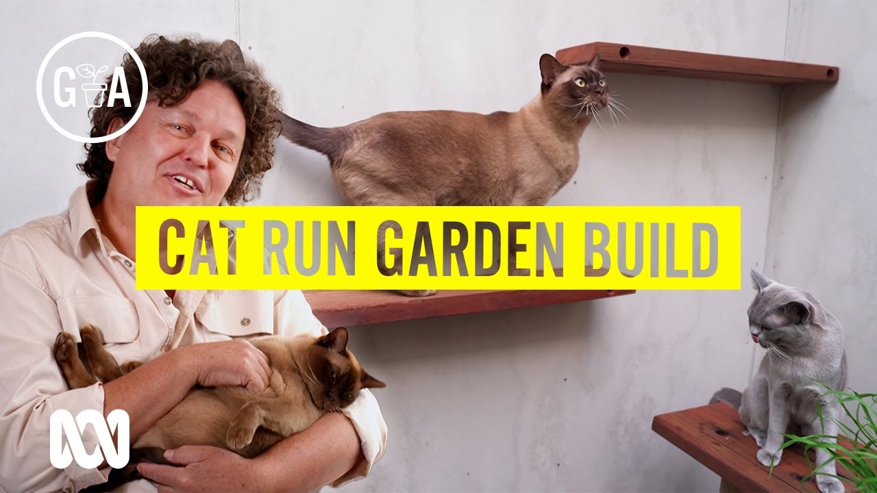 Building a Cat Run Garden That Protects Wildlife | Gardening 101 | Gardening Australia