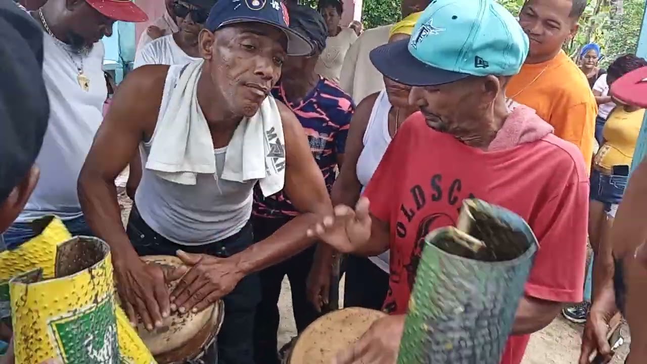 Palo matapalaciero dónde alfe