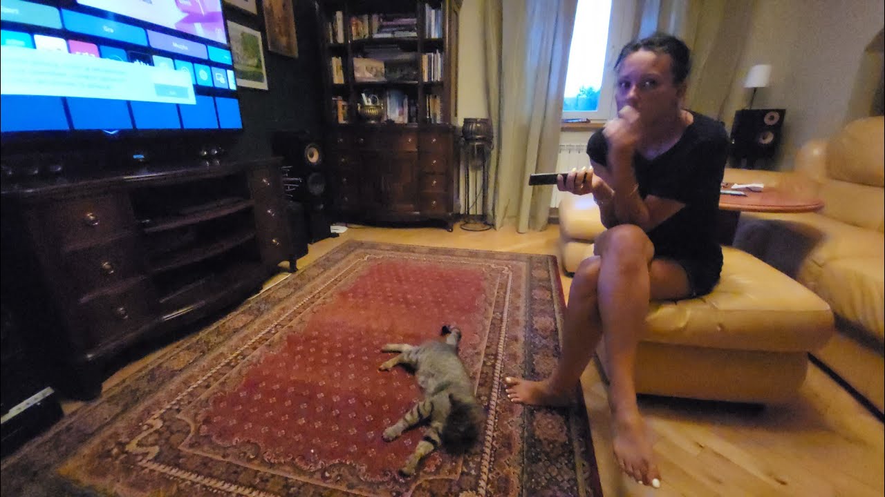 Bardzo długi vlog - nowy kotek i Wasze reakcje, Albania stan przygotowań i kampery