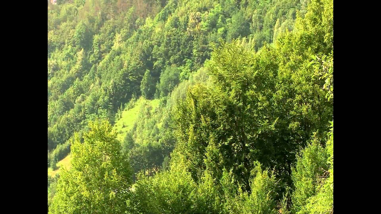 Rusca Montana