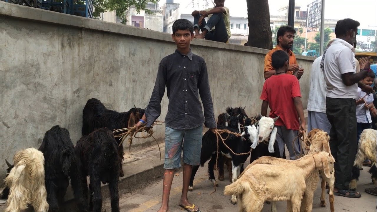 Sunday Market Ahmedabad