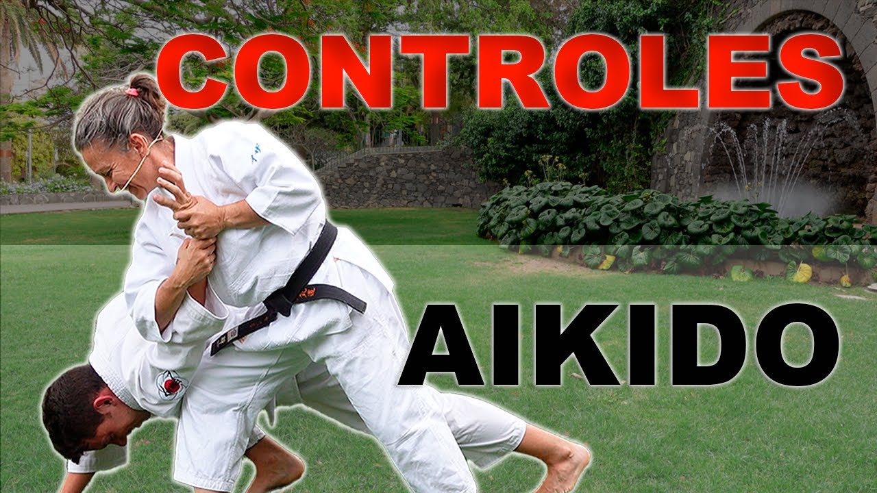 6 Técnicas de Control de Aikido