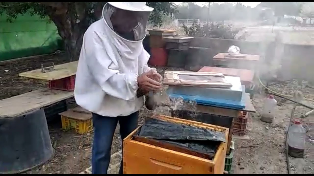 Juntar dos colmenas sin perder ninguna abeja