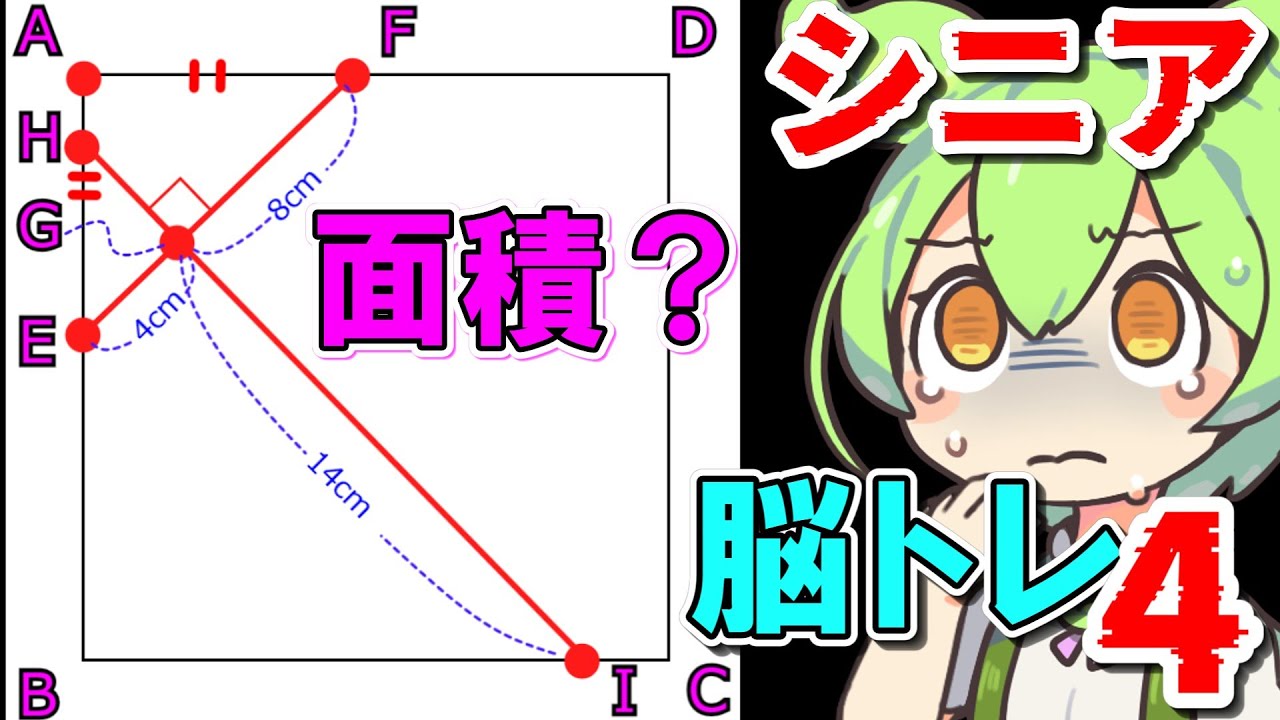 【脳トレ4】シニア 面積を求めよ 算数オリンピック 小学生でも解ける図形問題で脳トレ  四角形の対角線と面積　視覚処理 空間認知 注意力 推理力 作業記憶  シルバー 高齢者 50代 60代 70代