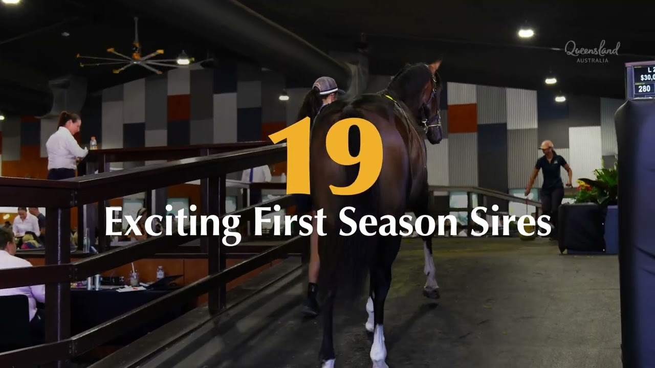 Magic Millions 2025 Gold Coast National Yearling Sale