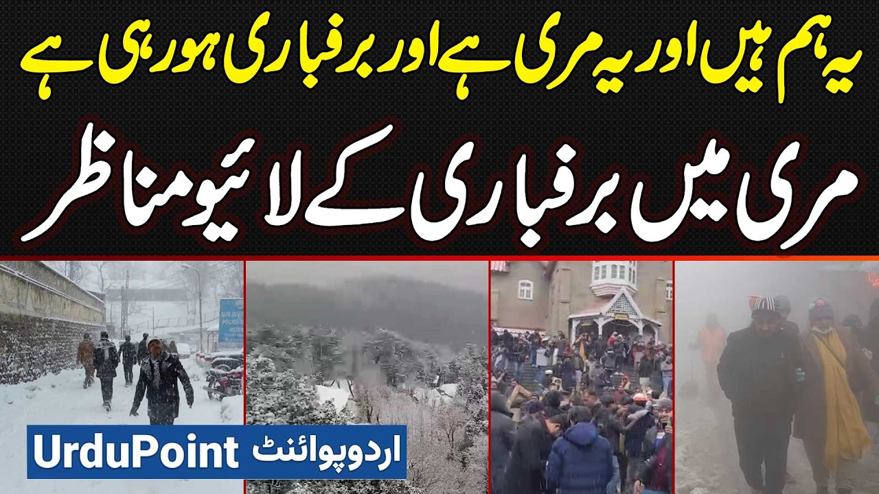 Snowfall In Murree - Murree Me Snowfall Ke Baad Awam Snowballs Bana Kar Enjoy Karne Lage