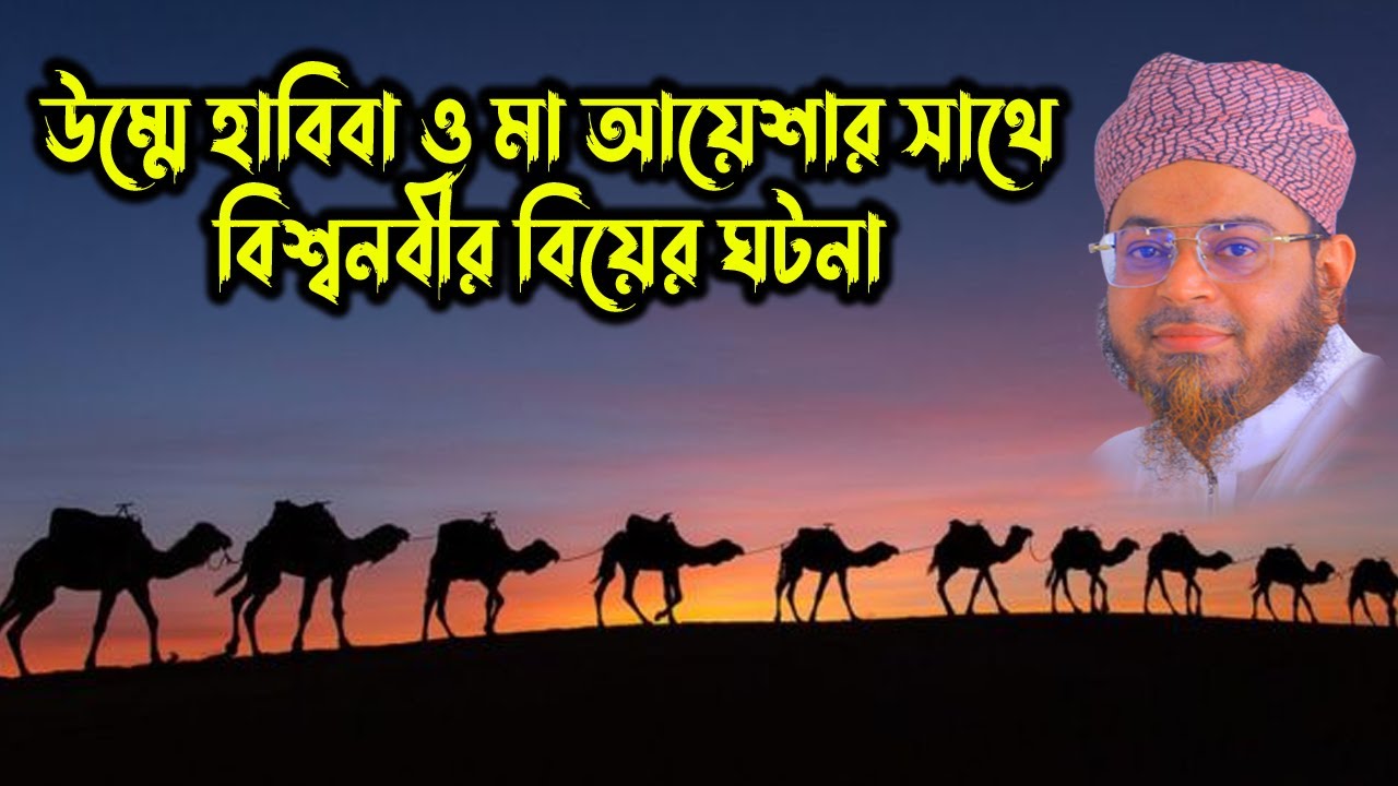 Mufti Nasir Uddin Ansari 01712093649। মুফতি নাসির উদ্দিন আনসারী । উম্মে হাবিবার সাথে বিশ্বনবীর বিয়ে