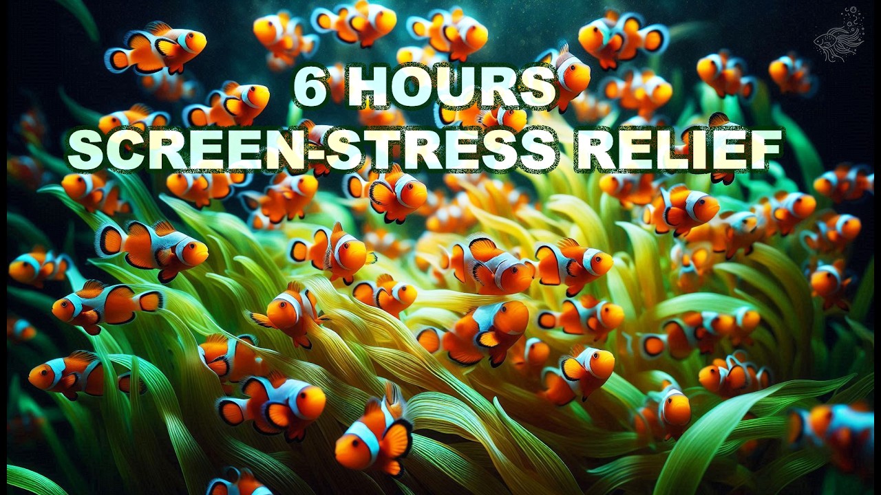 EYES REST, BRAIN RESTS 🫧 6 Hours Aquarium Calm for Study, Sleep & Relaxing