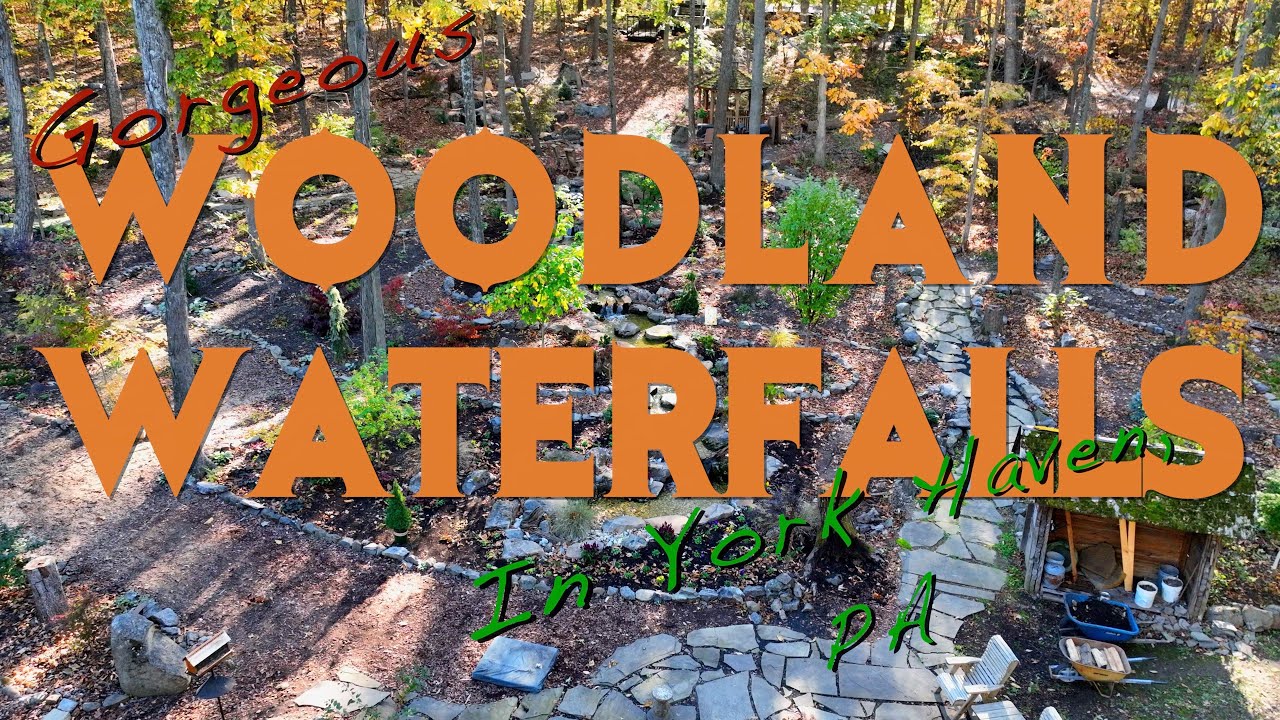 Woodland Water in York Haven, PA