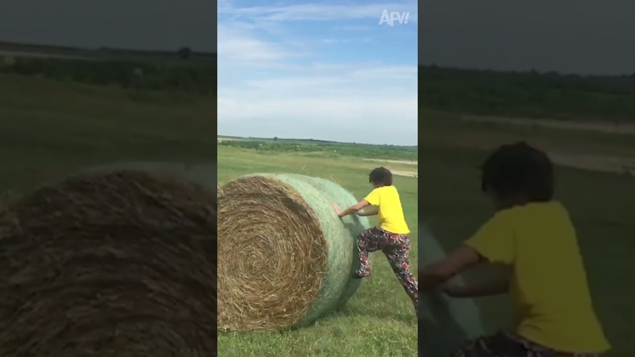 Hay! Be careful with that! 😅 #afv #vintage #funny
