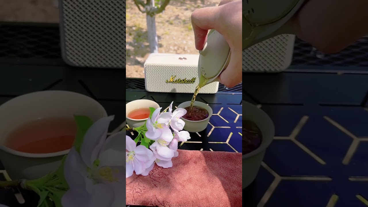 Cherry Blossom Camping & Tea Ceremony: Spring Serenity in Bloom [[BlossomCamp][SpringTeaExperience]]