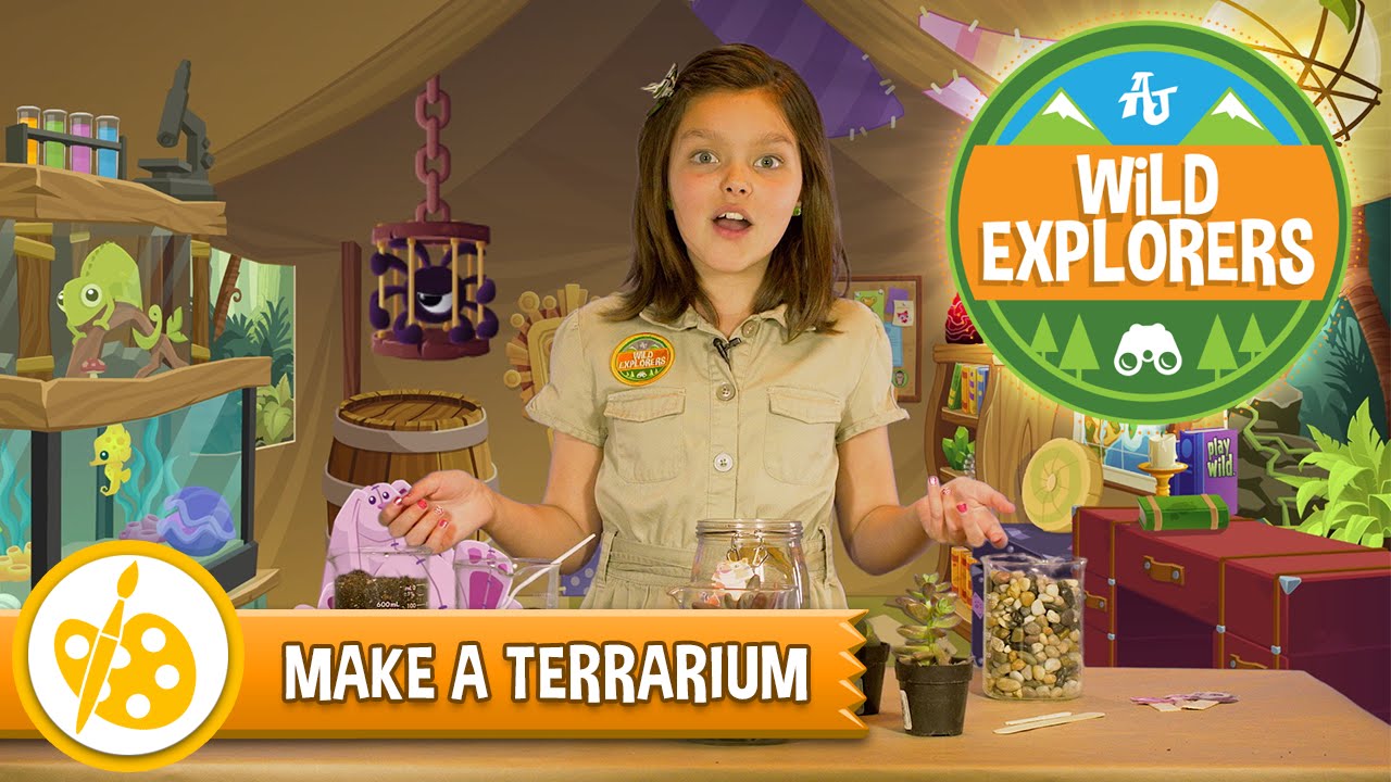 Wild Explorers - Make A Terrarium