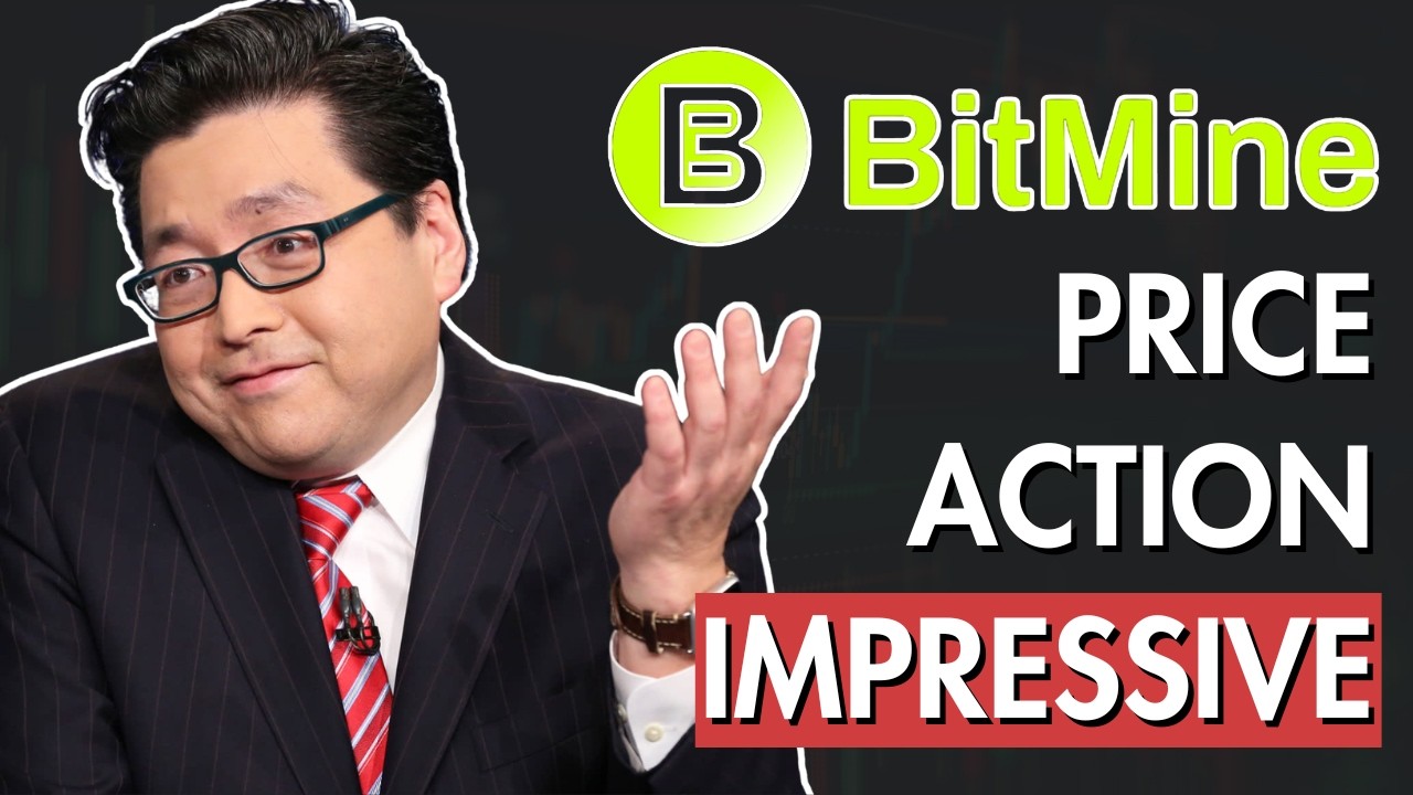 BMNR готовится к покупке ETH. Криптовалютная зима заканчивается?!