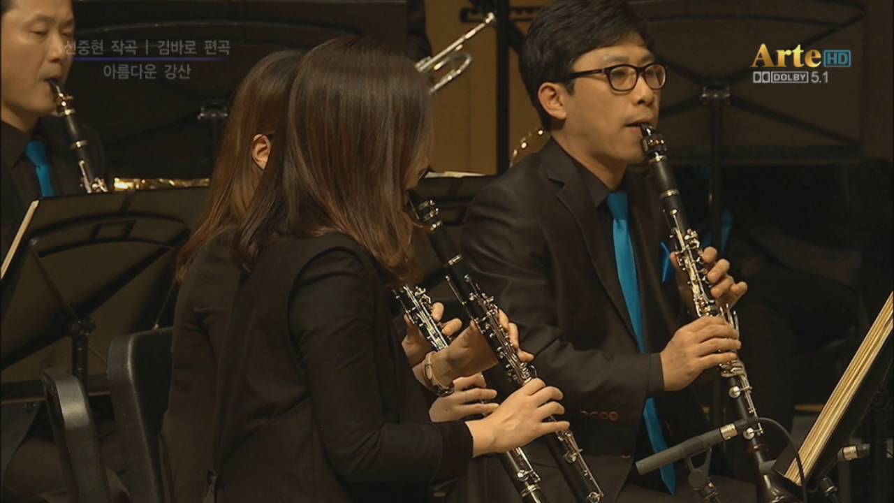 아름다운 강산(연주곡) / 린나이팝스 오케스트라