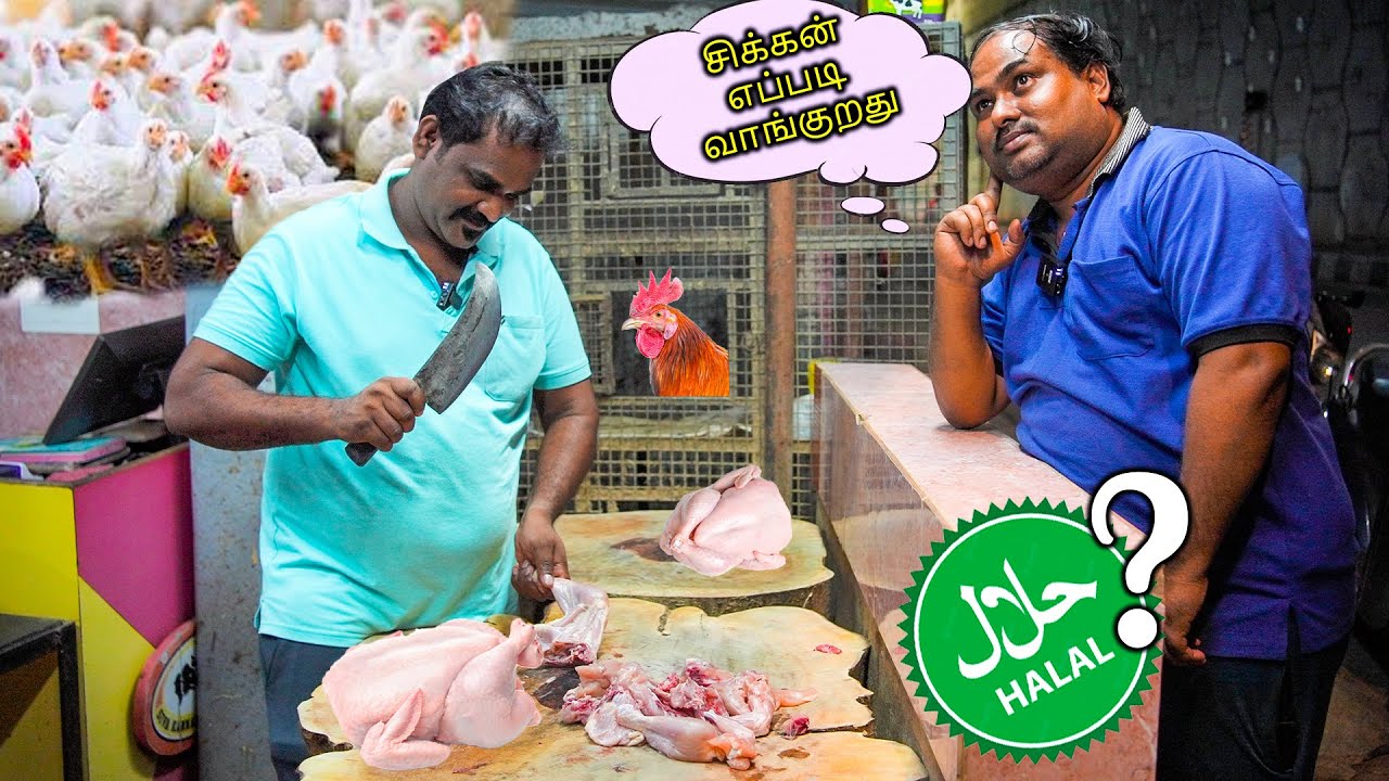 கோழி வாங்கிறதுல இவ்ளோ விஷயம் இருக்க? | WFT Vlog
