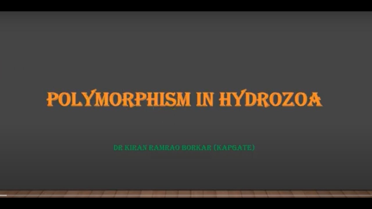 Polymorphism in Hydrozoa  by Dr. Kiran Ramrao Borkar