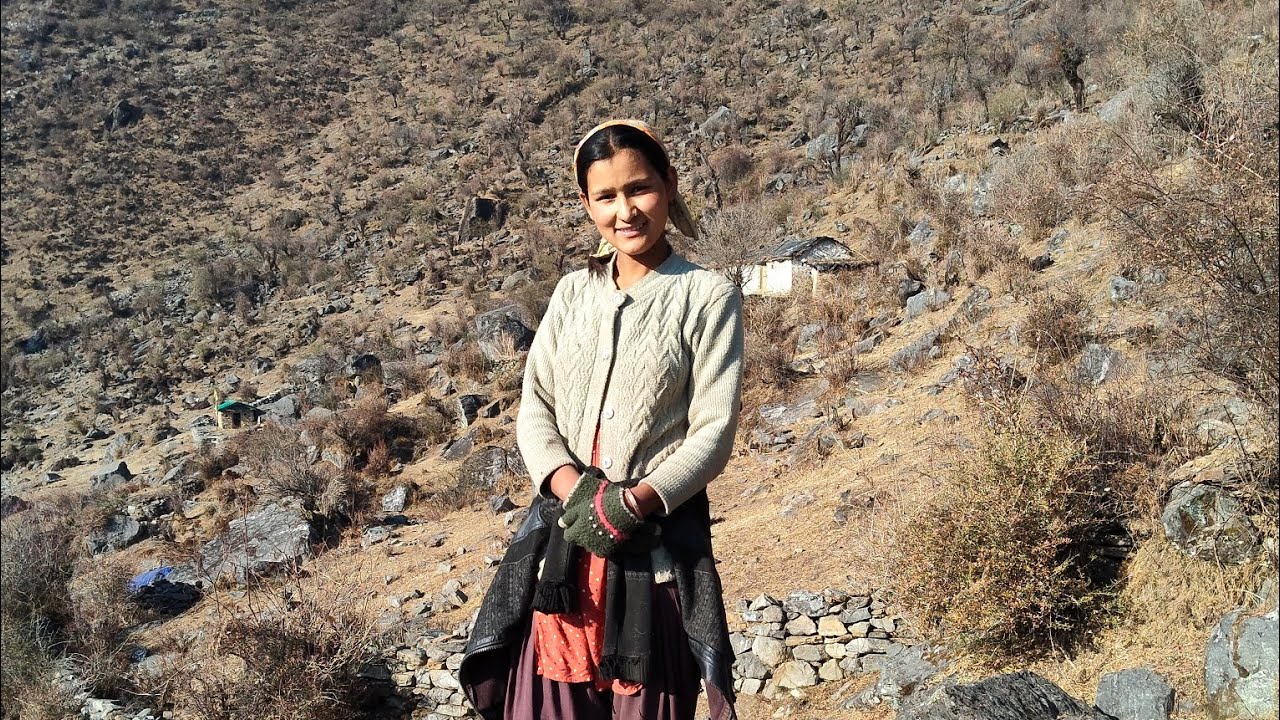 लकड़ी के लिए बड़े दिनों बाद@seema Negi vlogs uttrakhandi 