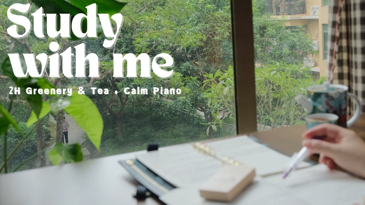 2 Hour Study With Me 🌴Tree View &Tea 🍵Calm Piano🎹for Deep Focus (No Breaks)