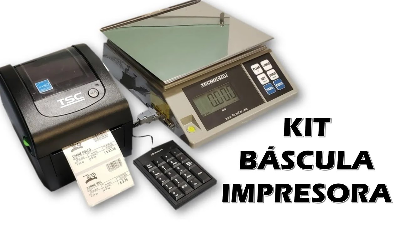 Bascula Etiquetadora Con Impresora De Etiquetas Térmica Kit con Formato