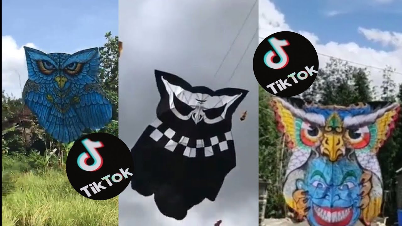 Kite from bali!!Kumpulan tik tok layangan clepuk bali terbaru 2021 viral di tik tok