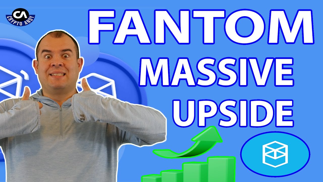Fantom Crypto Explained: 1400% Upside in 2024 !! Buy Crash HODL!!