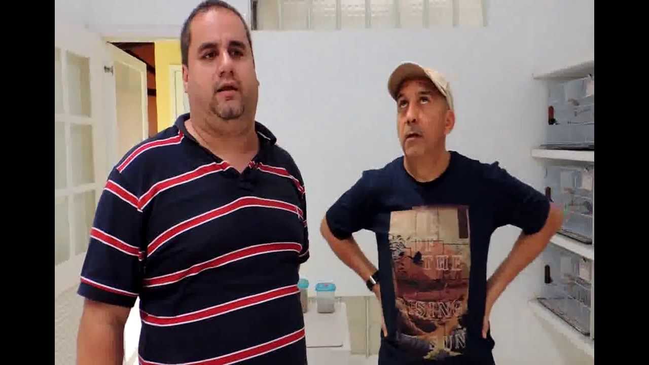 Visita ao Criiadouro BOTUPITÁ - BELÉM/PA (Criação de Curiós Clássicos)
