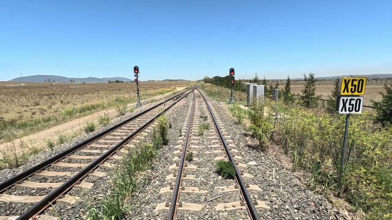 Togar Loop