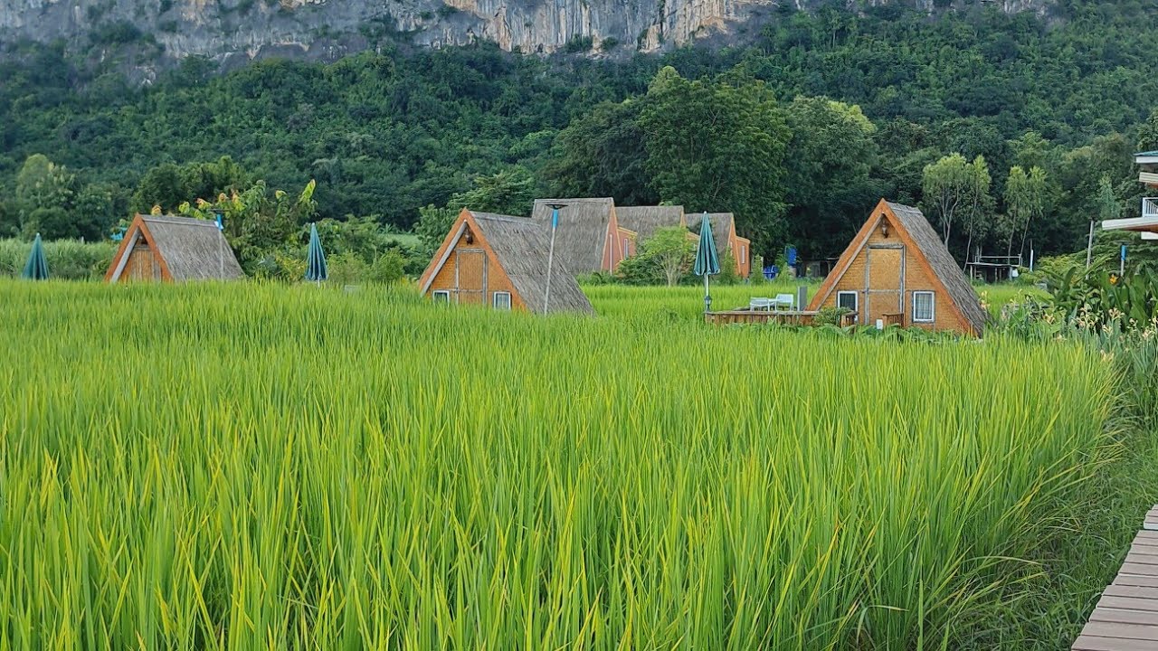 โฮมสเตย์ภูผาม่านขอนแก่นบรรยากาศสวยมาก